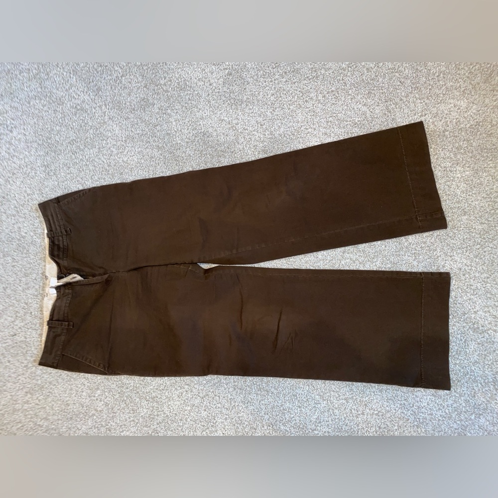 Ann Taylor loft brown pant Size 8p